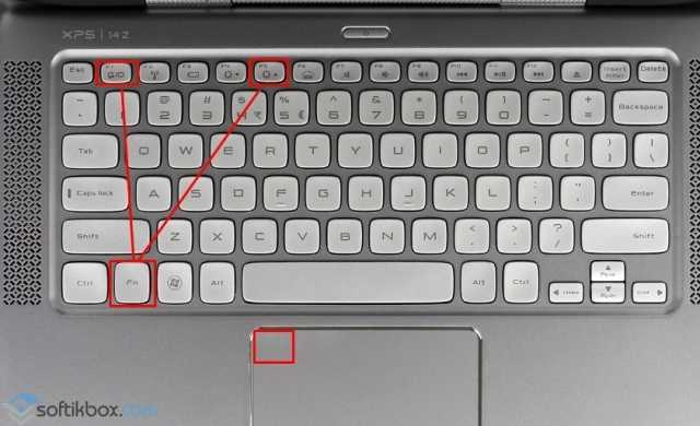 Как отключить тачпад на ноутбуке в windows 10, 7 на hp, asus, lenovo, dell, msi, acer