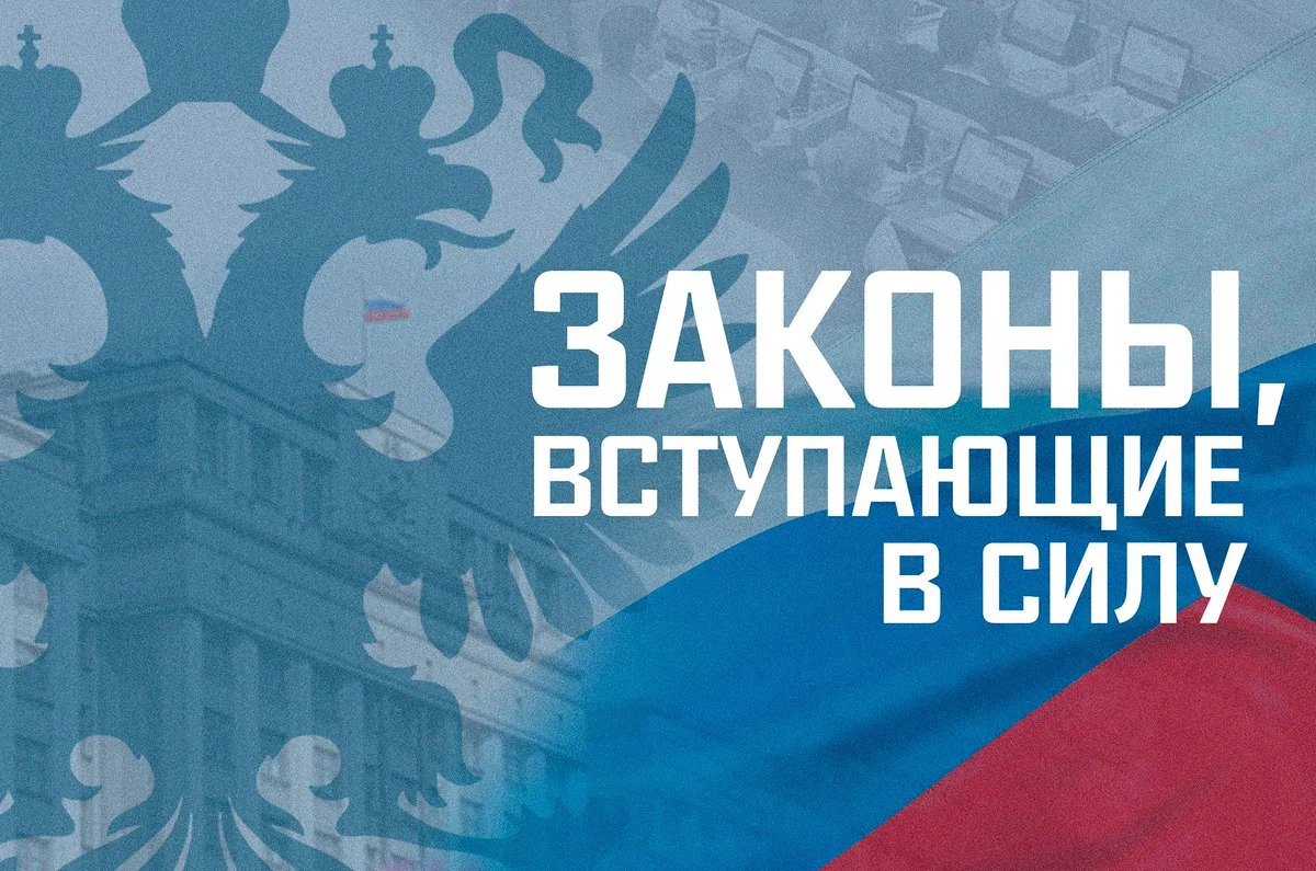 Рассказываем, какие законы вступают в силу в январе 2024 года