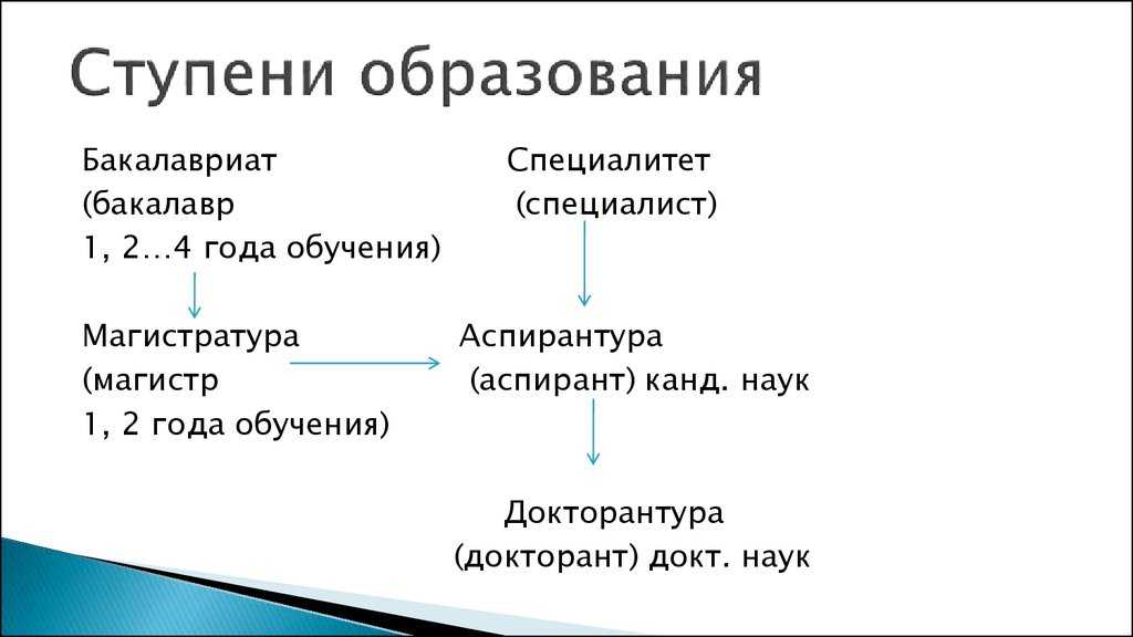 Чем отличается бакалавриат от специалитета: в чем разница с магистратурой и что лучше