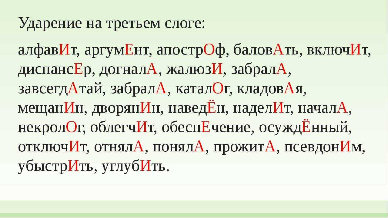 В общественной палате осудили минобрнауки за «брачащихся» с «кофе» среднего рода: «осталось легализовать мат» — викиновости