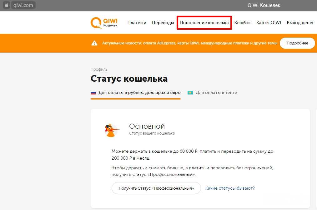 Как оплатить icloud и другие подписки apple в 2024
