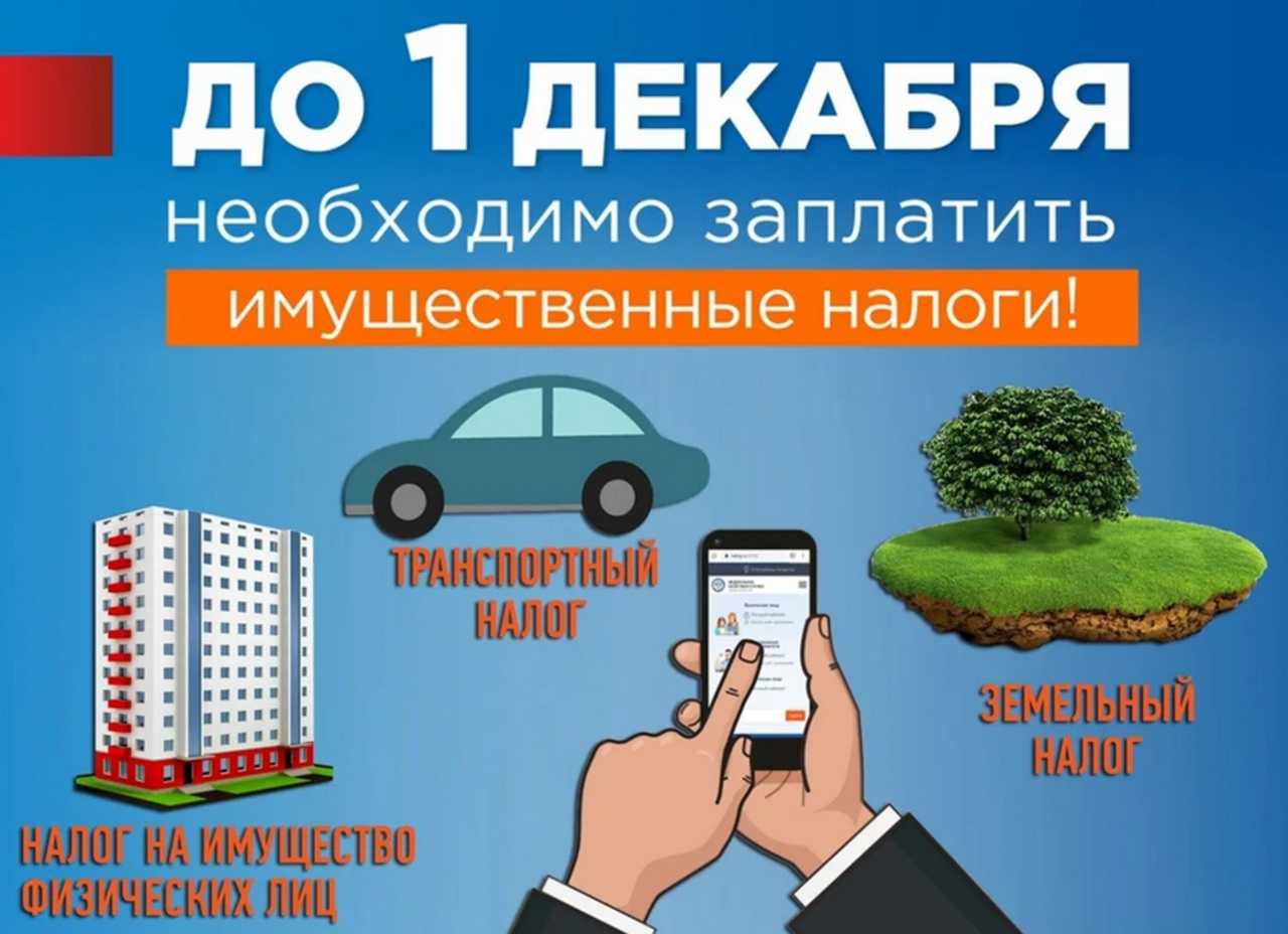 Порядок оплаты налогов за другого человека. подробные инструкции и описание процедуры