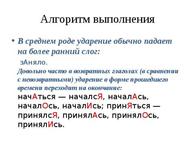 Как за десять лет изменились правила русского языка: от кофе в среднем роде до карате