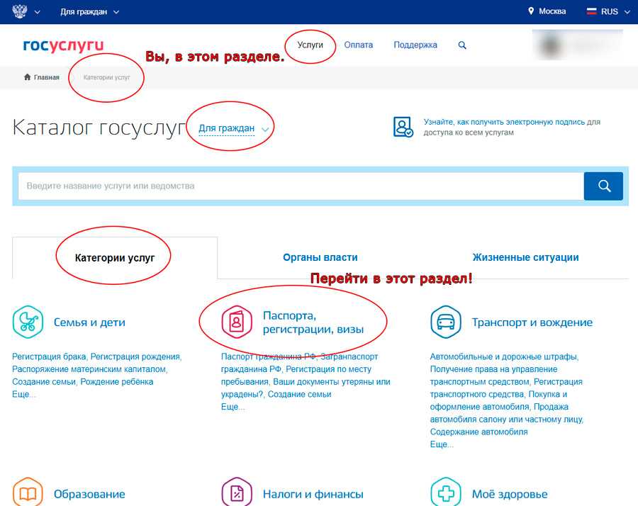 Как оформить временную регистрацию через портал Госуслуг по новым правилам: пошаговая инструкция