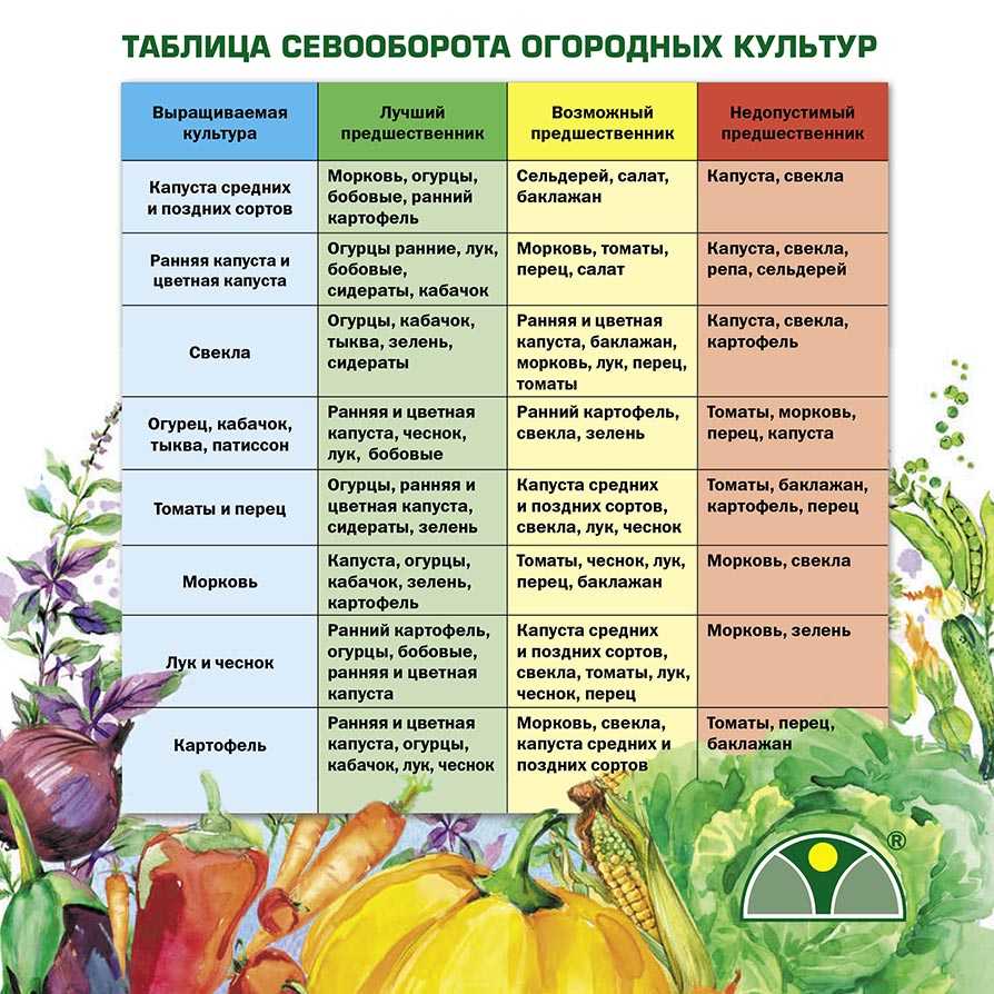 Новая энциклопедия садовода и огородника (2015, октябрина ганичкина)