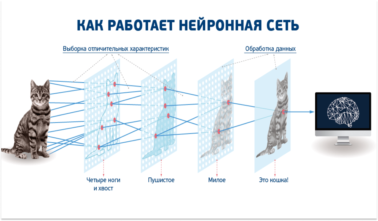 Сделать открытку с днём рождения с именем онлайн бесплатно
