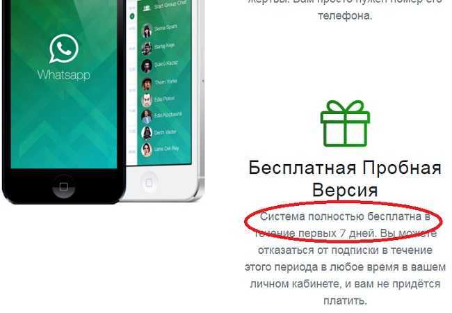 Шифрование сообщений в whatsapp: что это такое, как включить или убрать в ватсапе