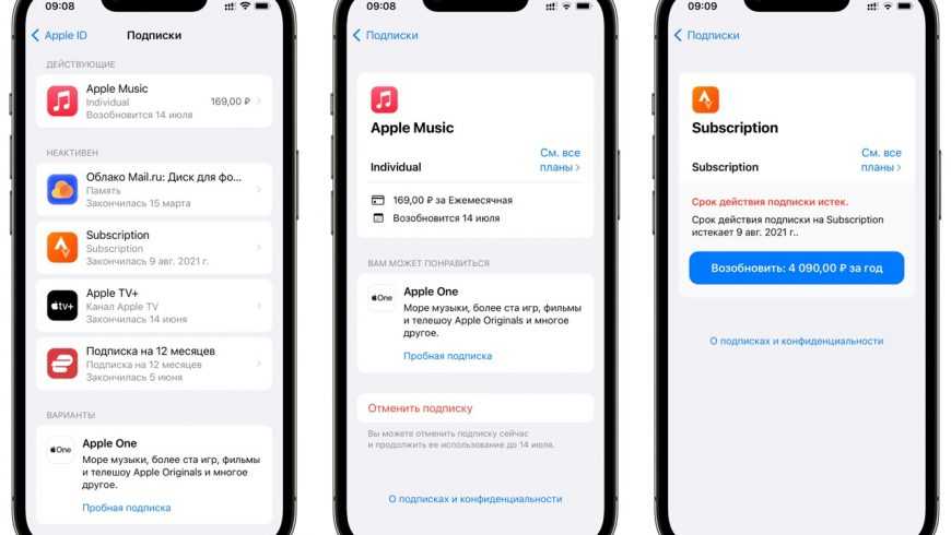 В россии запустили сервис «iphone по подписке». но мы не советуем им пользоваться