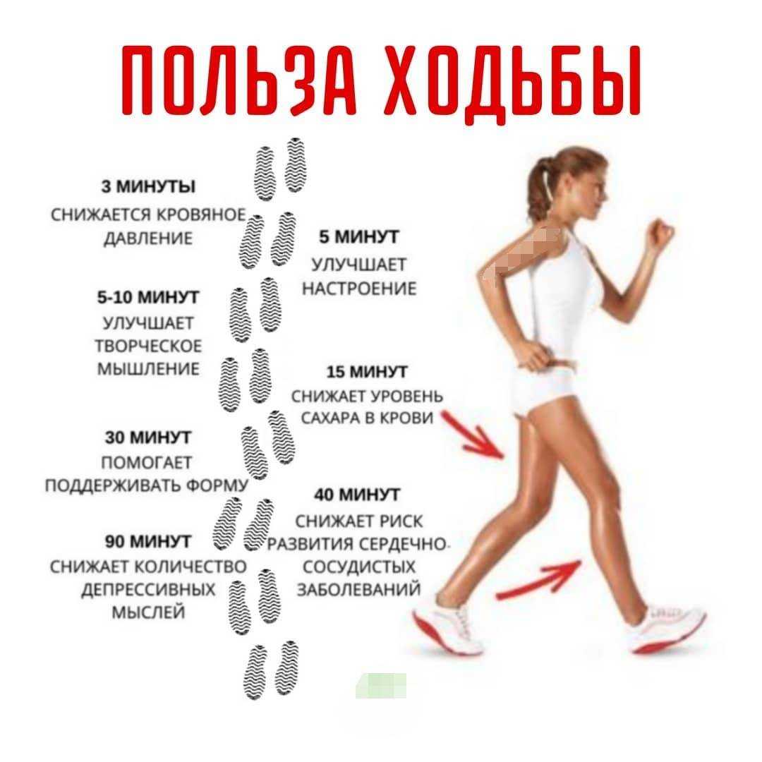 Последние комментарии