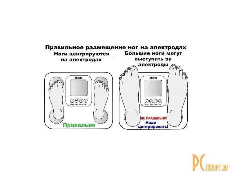 Как подключить весы xiaomi к смартфону для синхронизации
