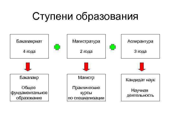 Бакалавриат специалитет магистратура в чем разница - права граждан