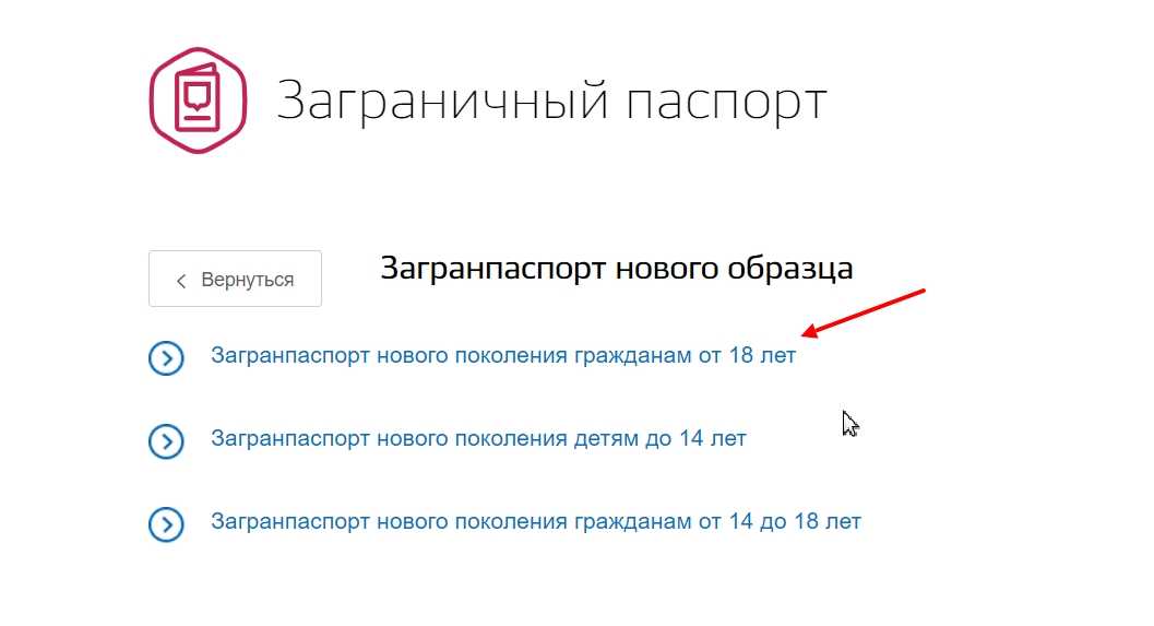 Как сделать загранпаспорт через «госуслуги», в мфц или в посольстве