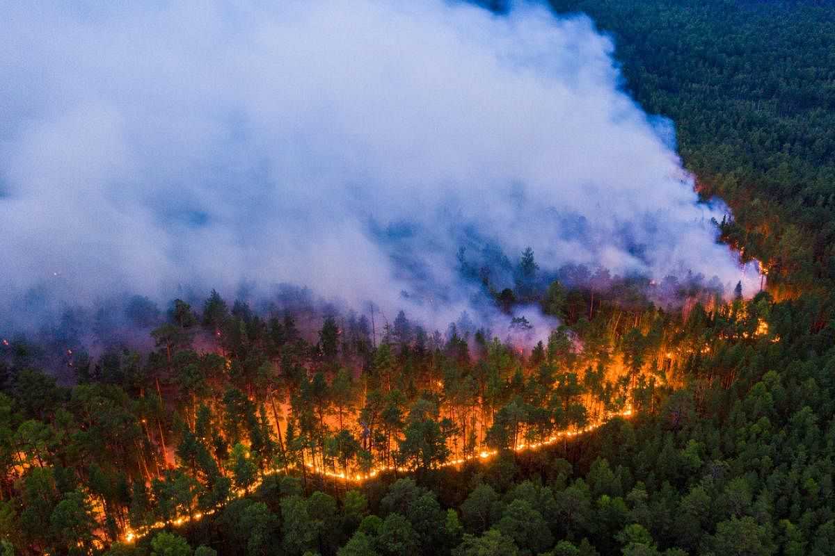 Карты онлайн пожаров в мире «  роман елькин