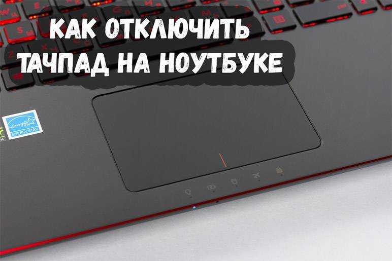 Все функции тачпада на ноутбуке. как пользоваться?