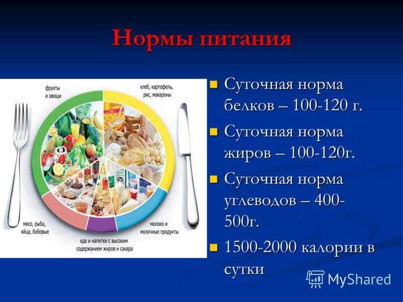 Оптимальное соотношение белков, жиров и углеводов - как рассчитать количество бжу