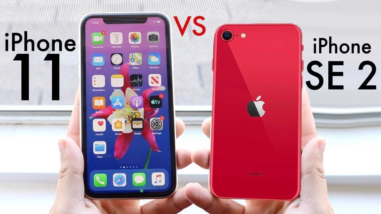 Чем отличается новый iphone se от iphone 11